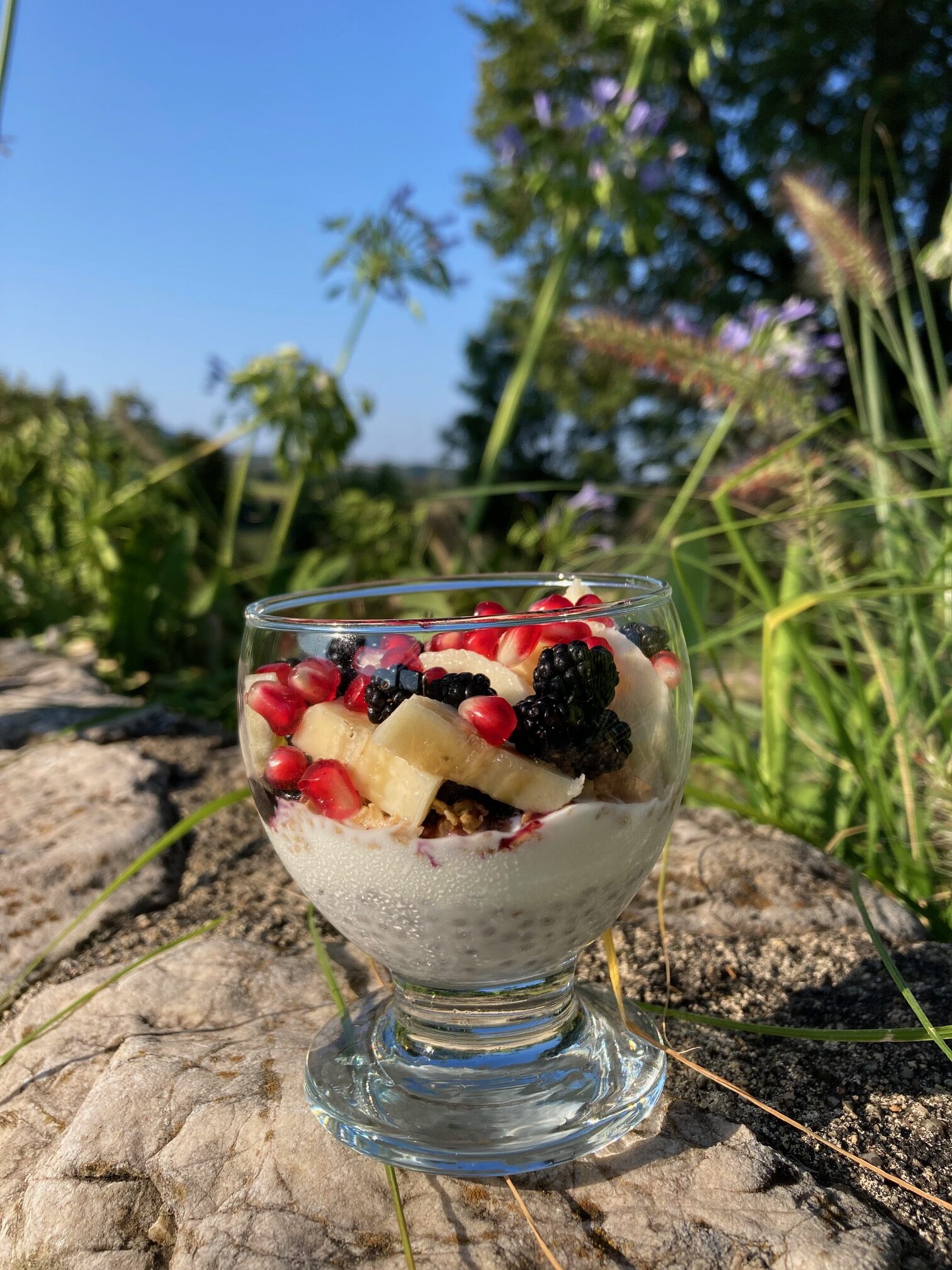coupe de fruits et chia coco dans le jardin